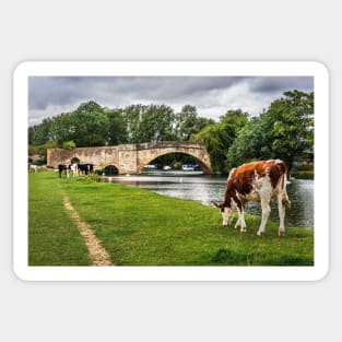 Halfpenny Bridge and Thames Path Lechlade Sticker